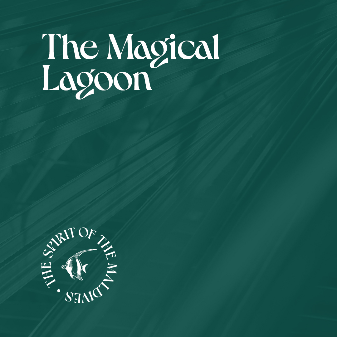 The Magical Lagoon Upcoming Events