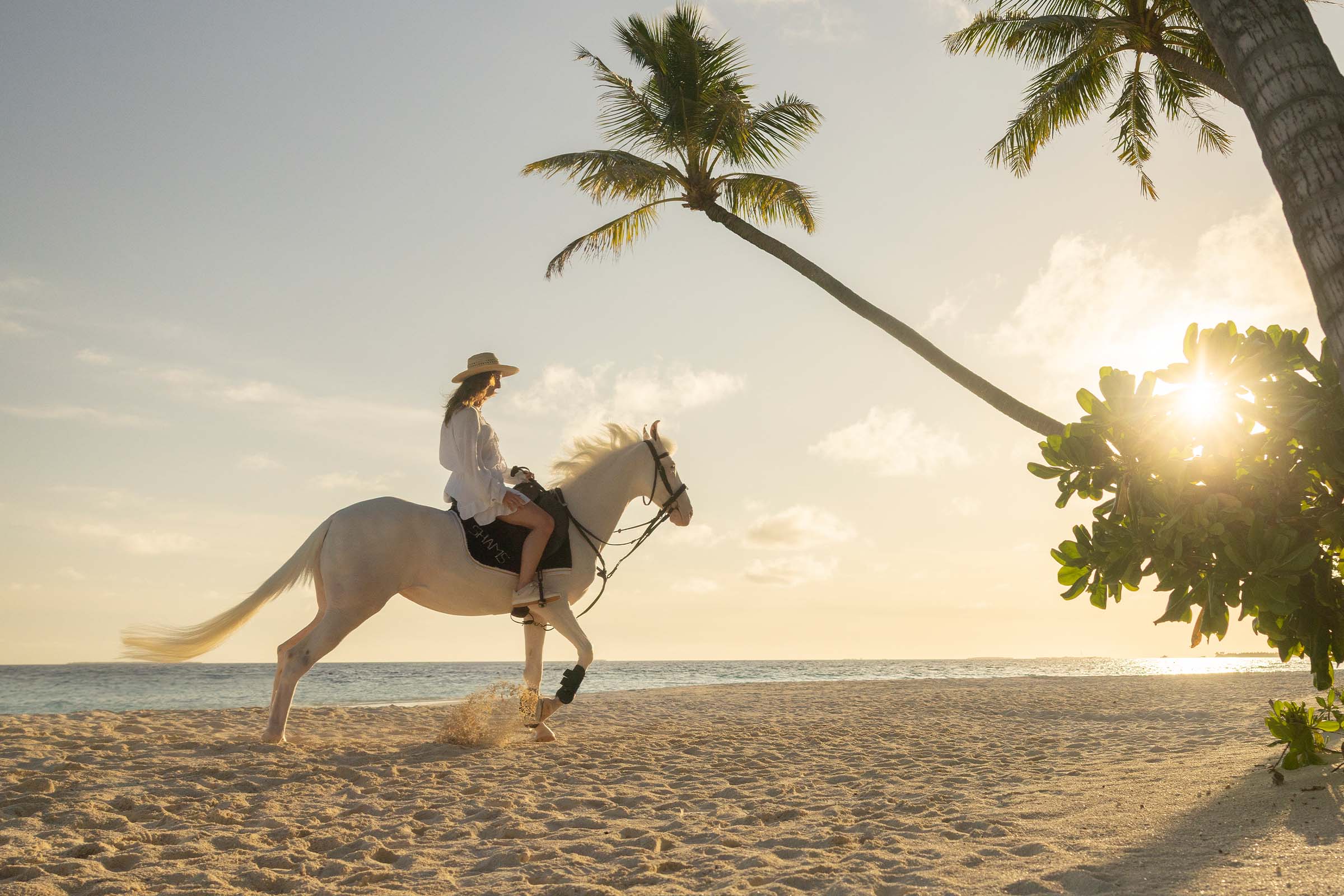 Siyam World Horse Riding 8