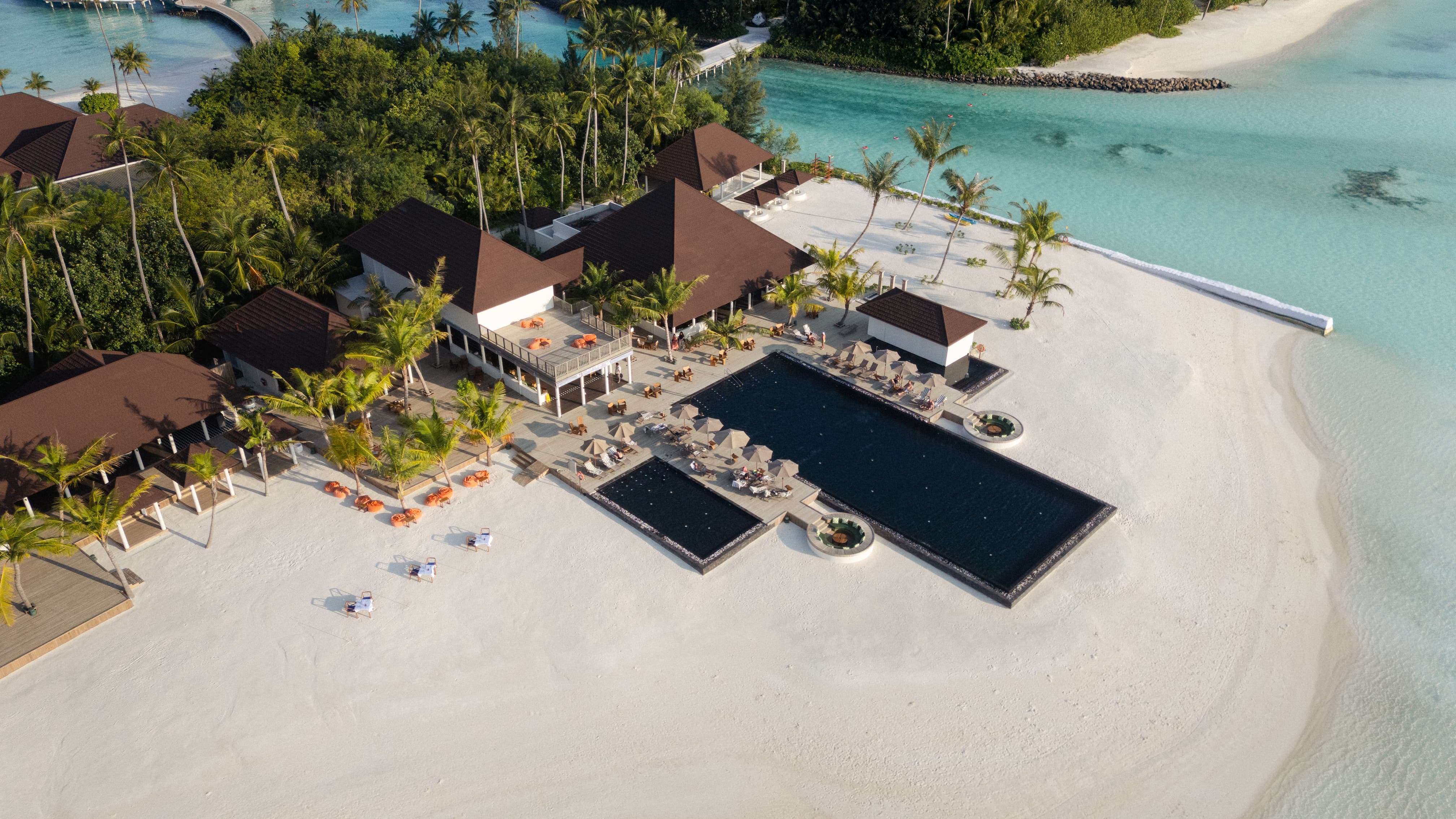 SSO Olive Crust & Flames 2025 18 (1)