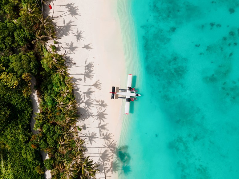 aerial view of sea plane on a beach facing the ocean