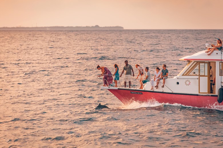 family on boat tour looking at dolphins below them