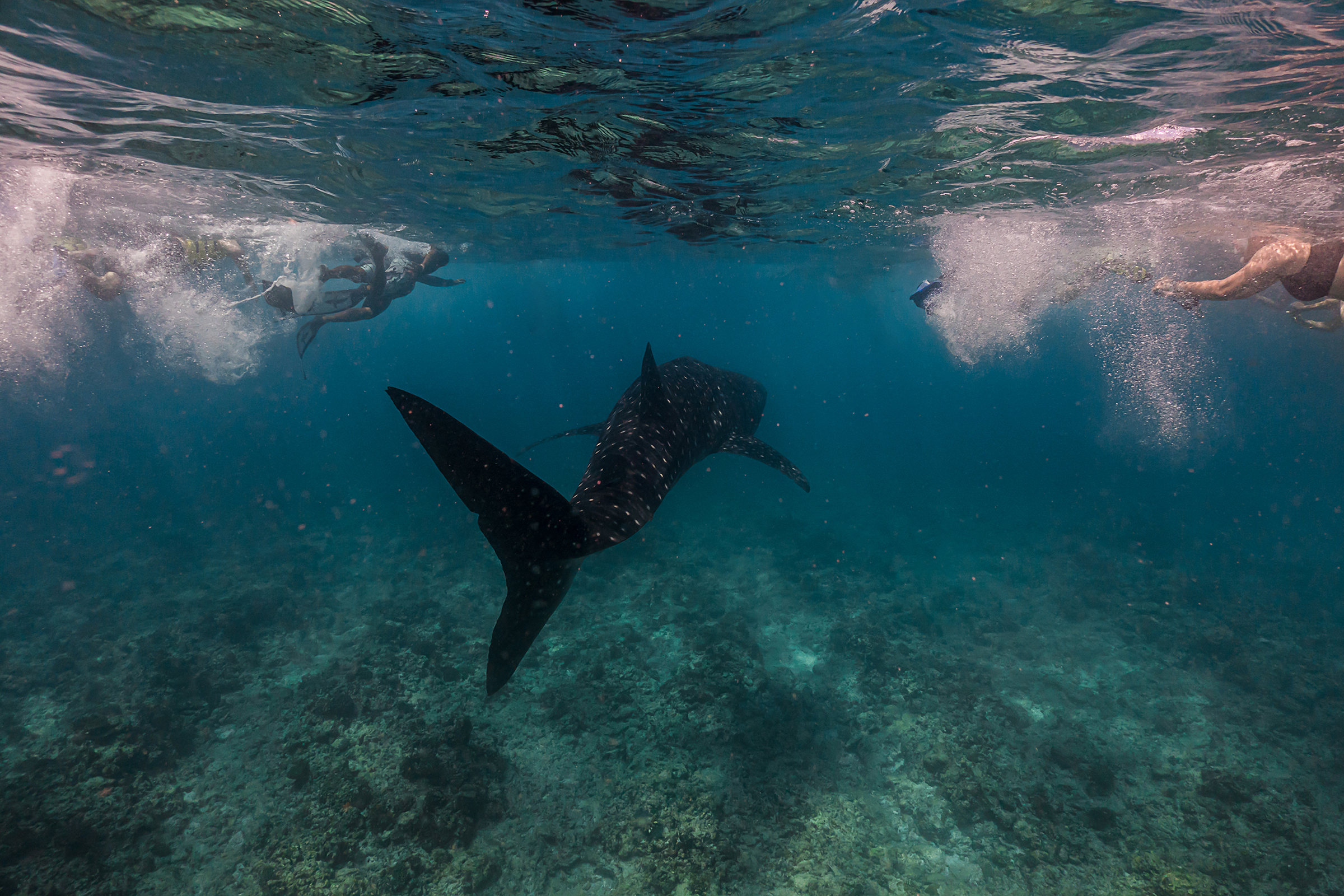 Ssr Olhuveli Watersports31