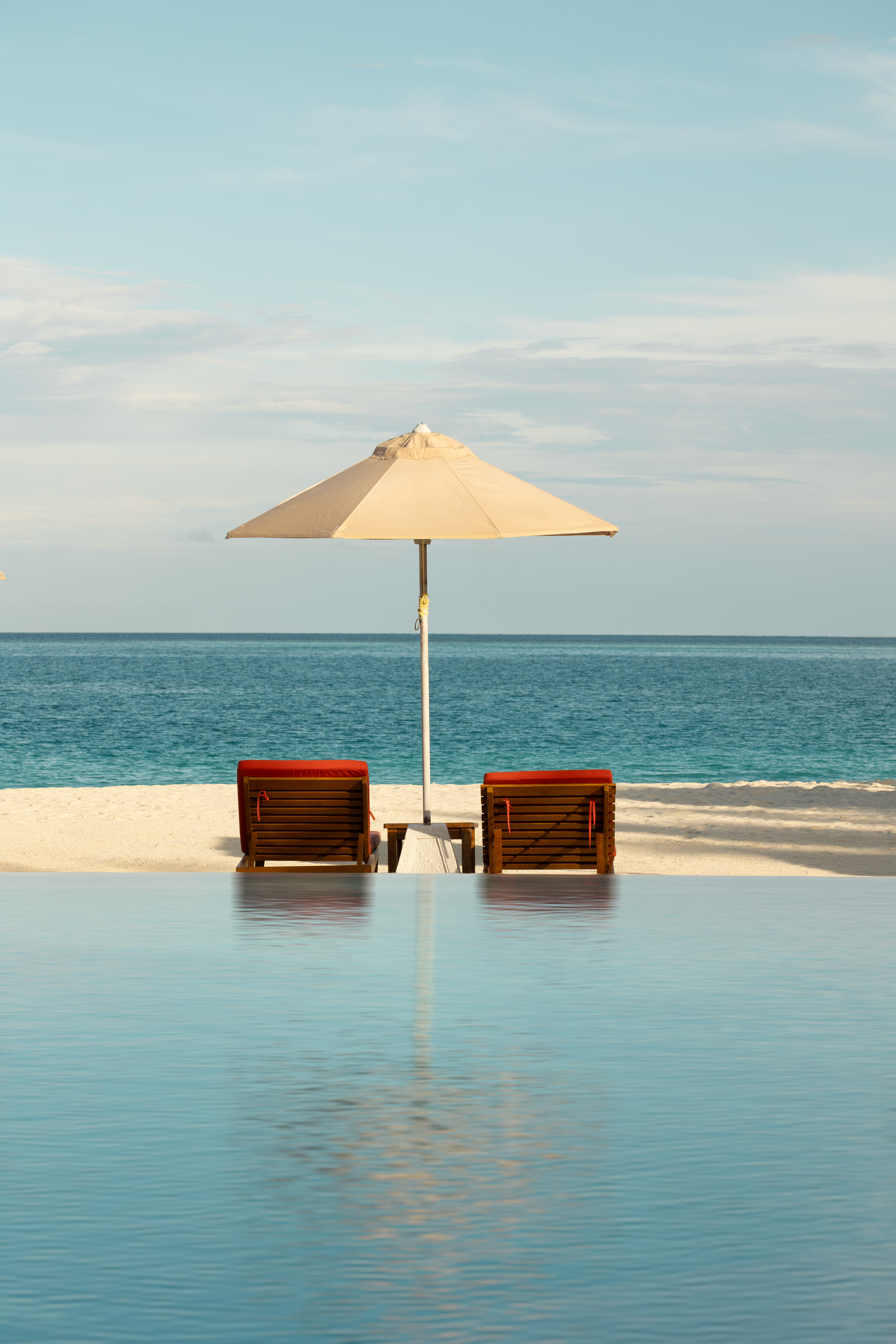 6G5A7201 Avec Accentuation NR (3)