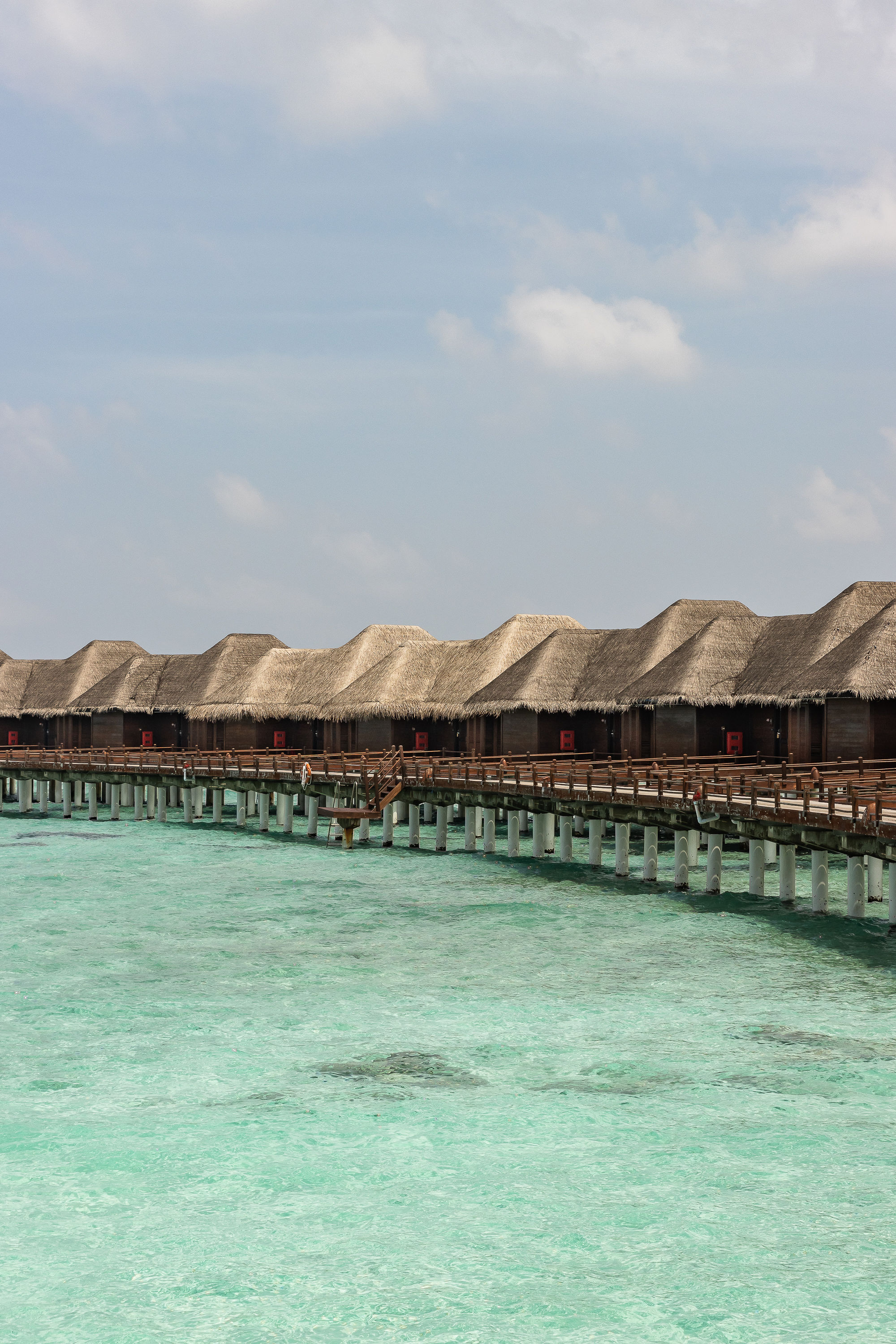 Weddings & Celebrations