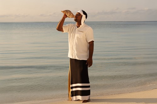 maldives conch shell