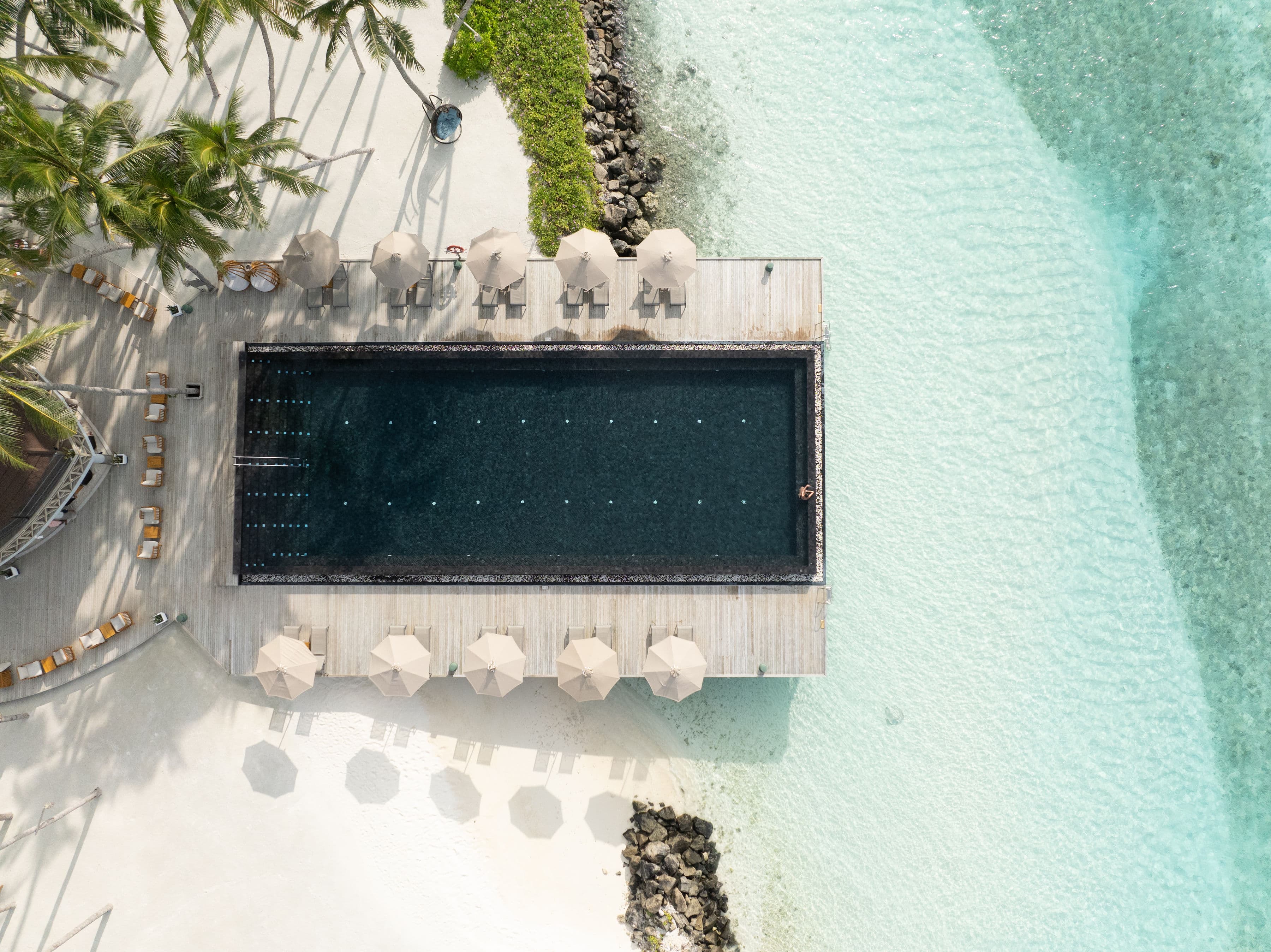 Weddings & Celebrations