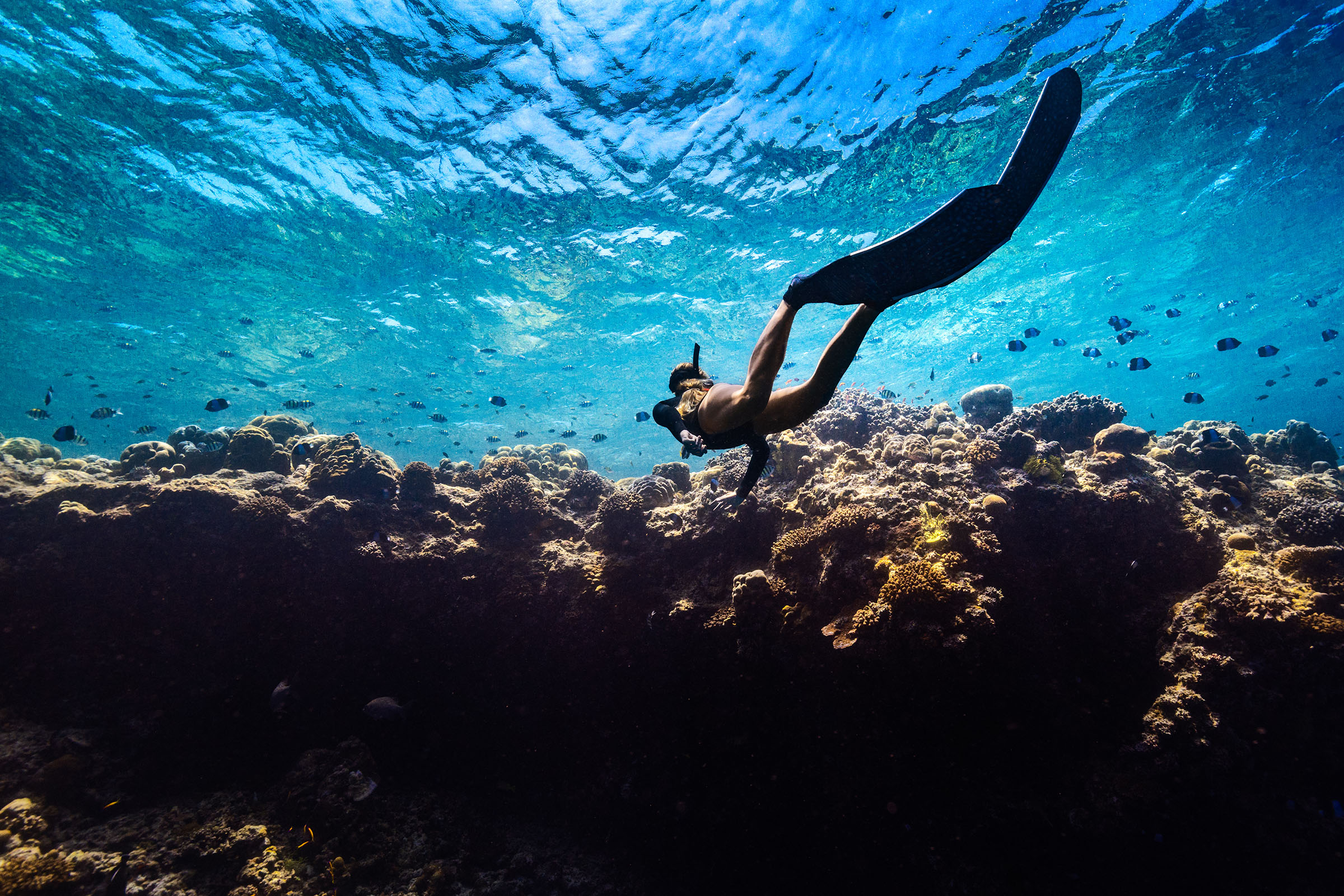 Oceans Week Op 2