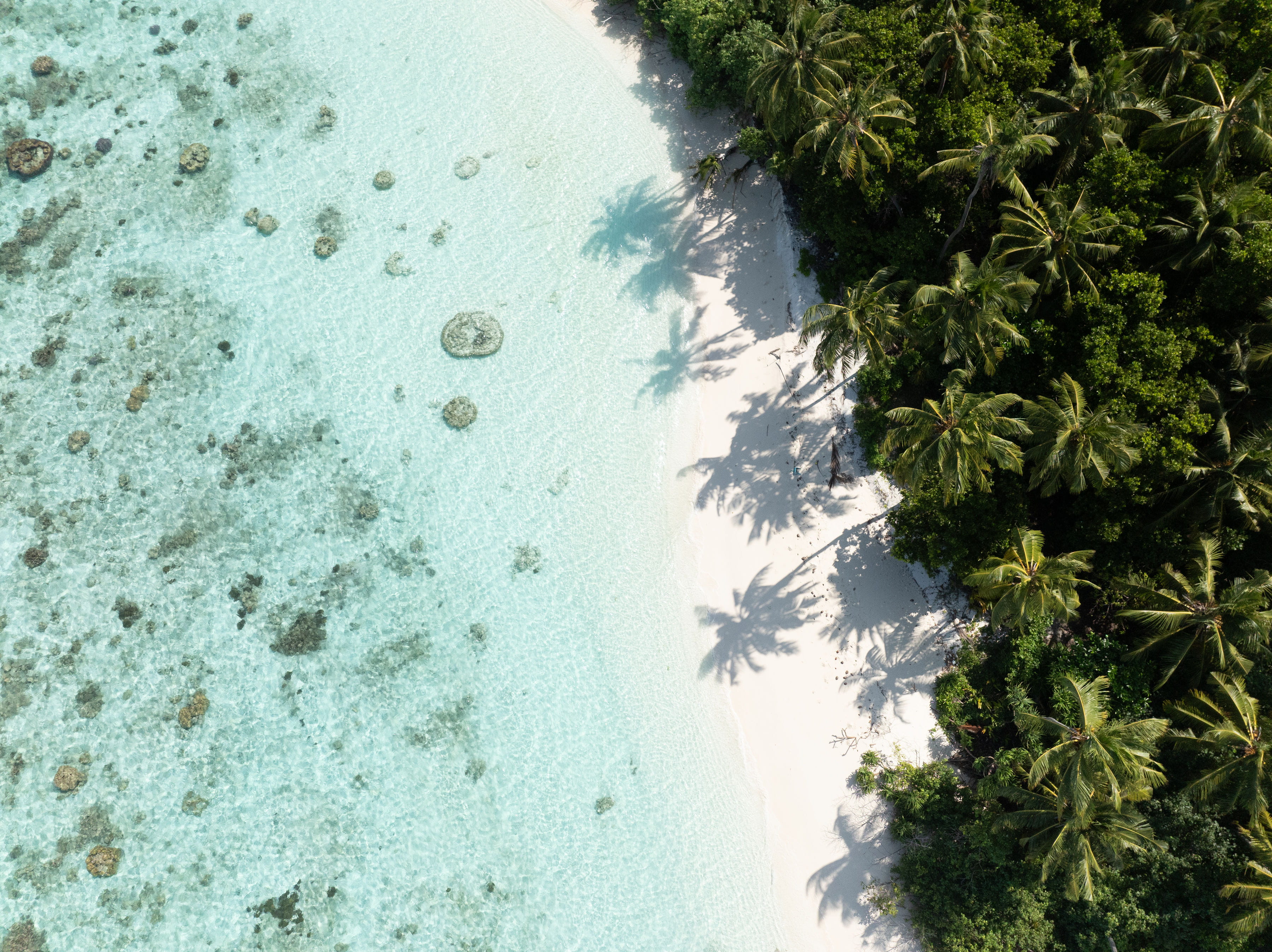 Local Island Exploration