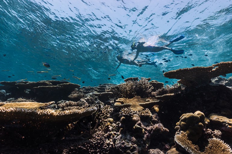 couple snorkeling in maldives waters. view is from underneath them under water