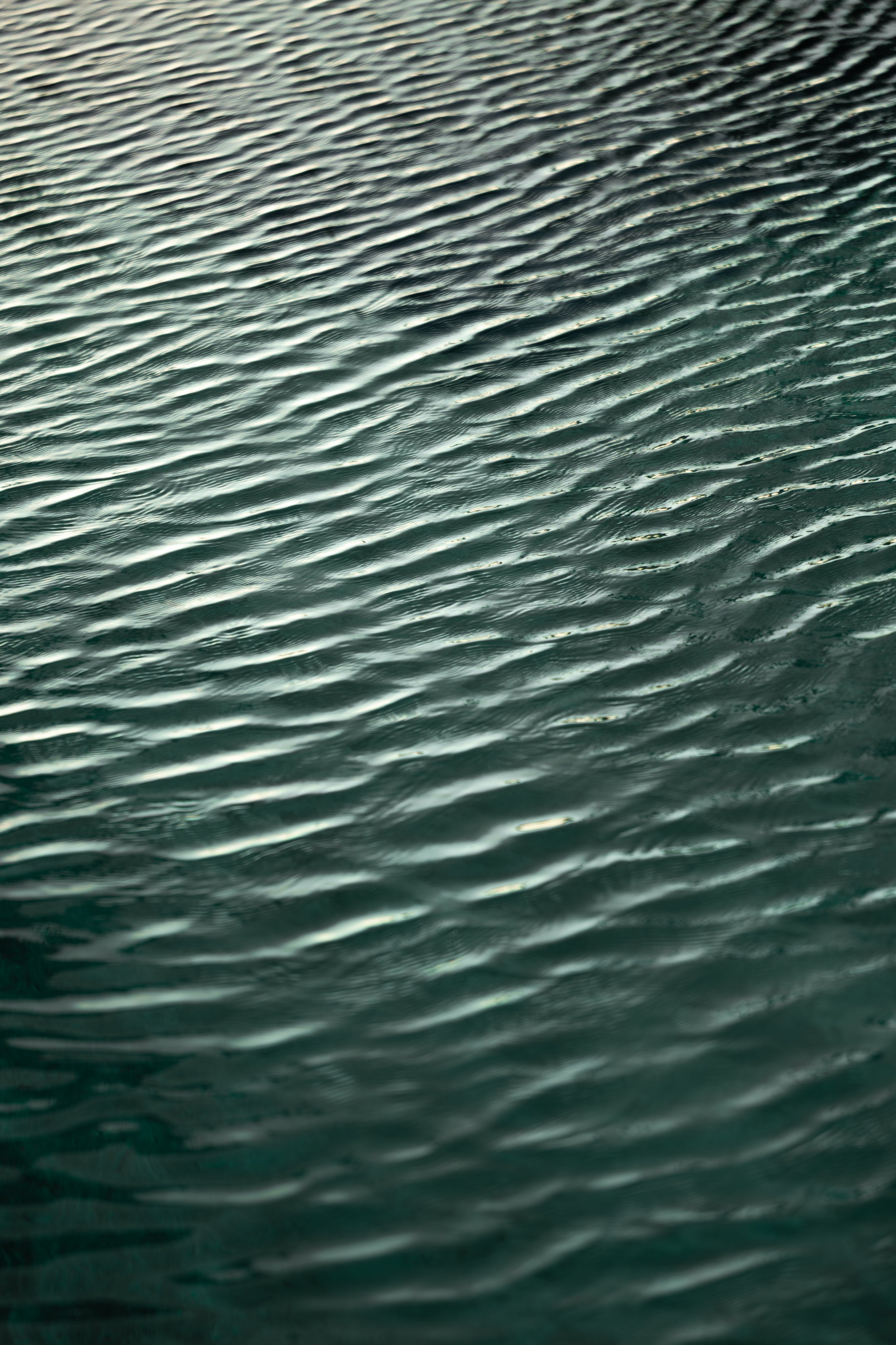 6G5A1319 Avec Accentuation NR