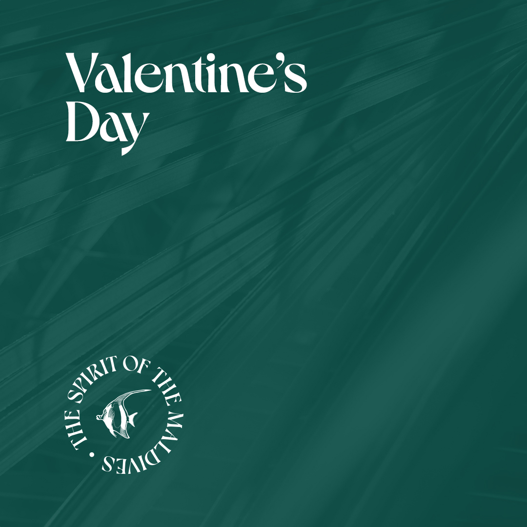 Valentine's Day - Prive