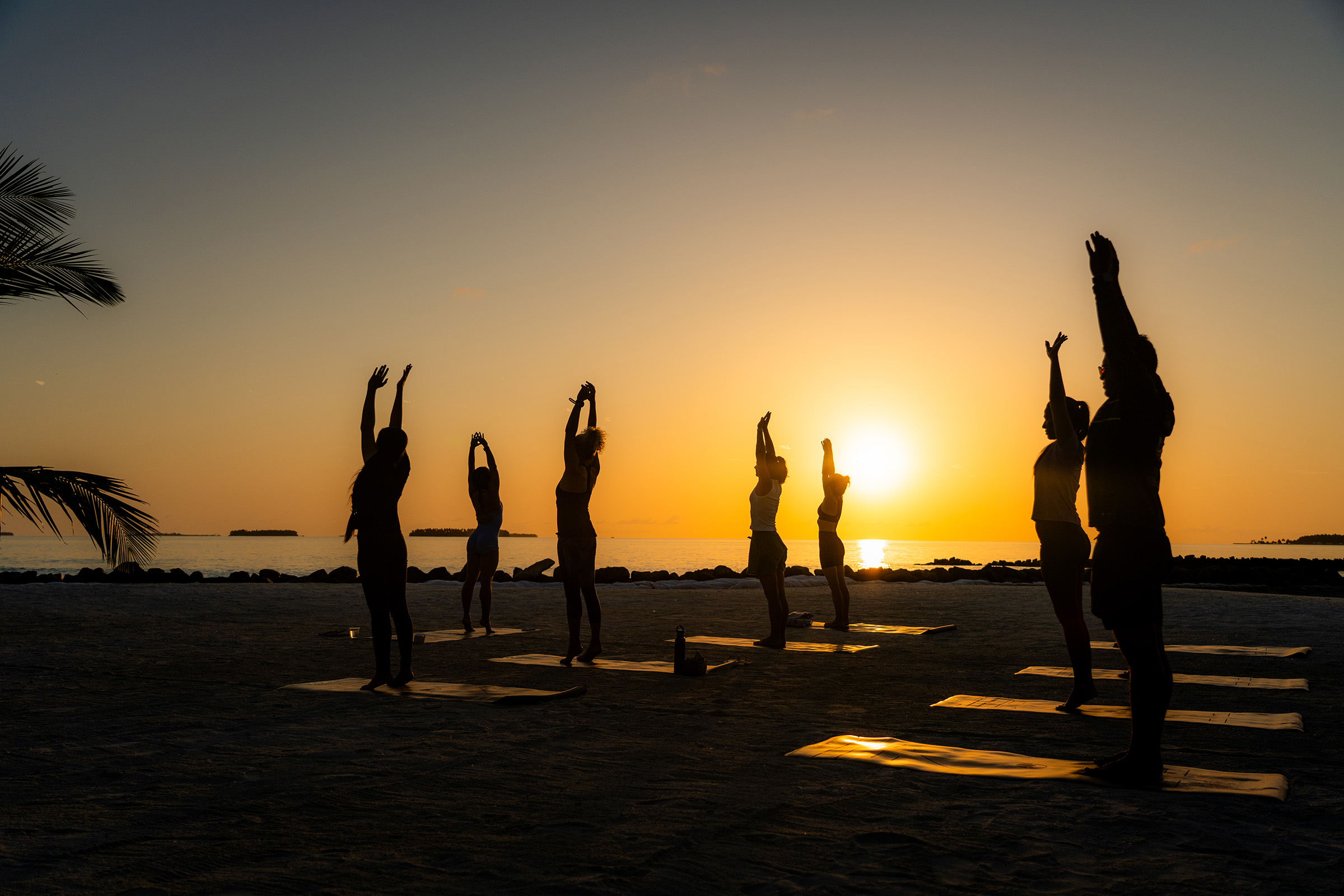 Wellness Week Op 1