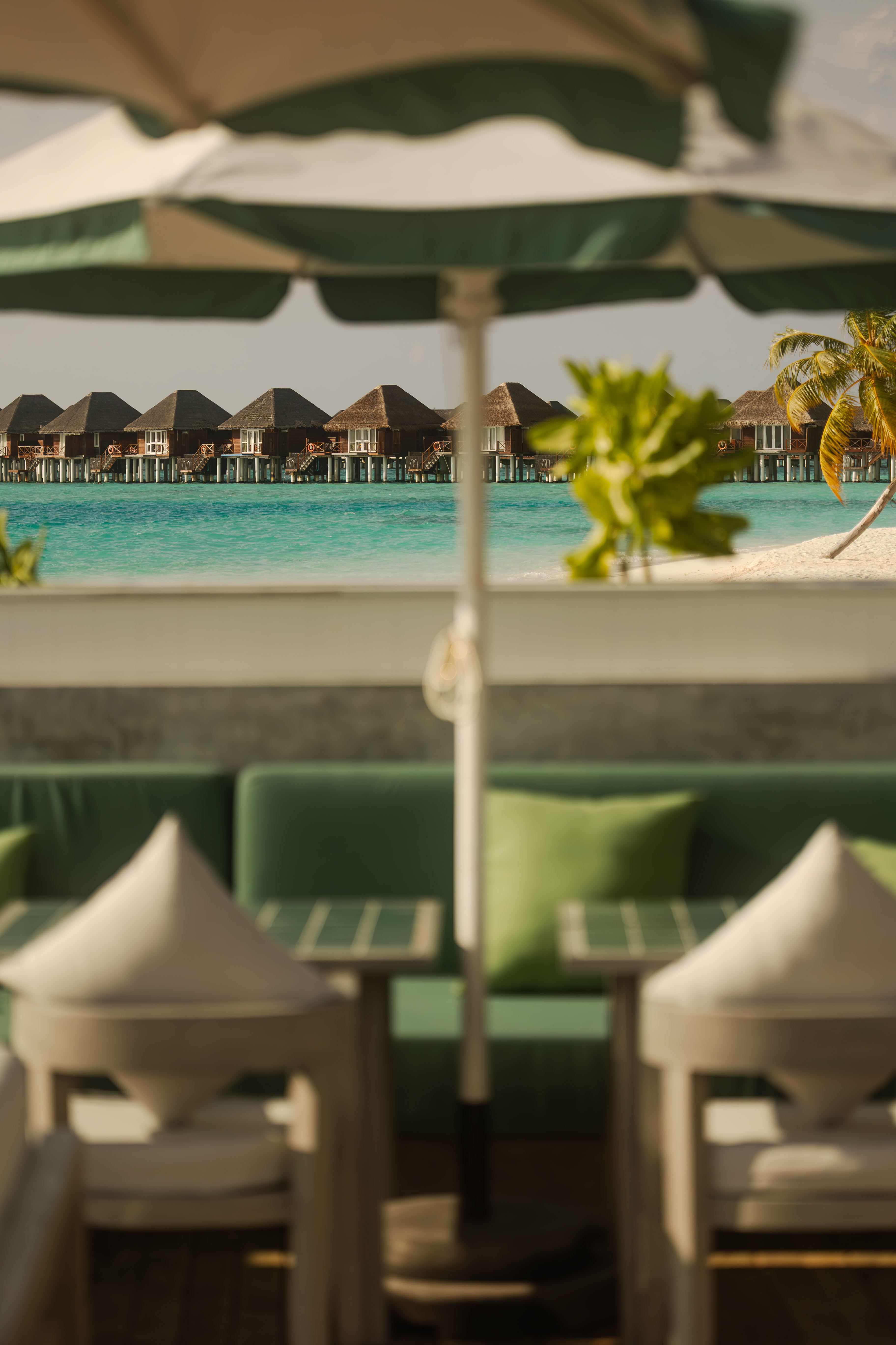 SS Vilu Reef 6G5A3427